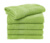 Plážová osuška Rhine 100x180 cm - SG - Towels, farba - bright green, veľkosť - 100x150