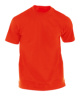 Adult color T-shirt