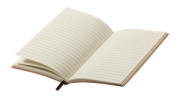 Sopuk notes