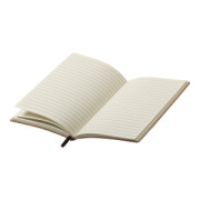 Sopuk notes