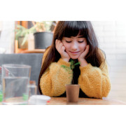 Set vyrobený z borovice