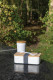 Krabička na jedlo z RCS recykl. plastu s bambusovým vekom - XD Collection