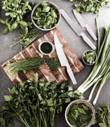 Nôž VINGA Hattasan Santoku - Vinga