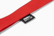 Larpet lanyard