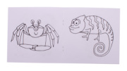ColoBook omalovánky na zakázku, zvířata