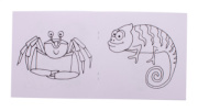 ColoBook omalovánky na zakázku, zvířata