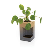 Avira Alya RCS pohár z nehrdz. ocele 300 ml - Avira