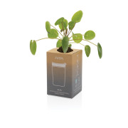 Avira Alya RCS pohár z nehrdz. ocele 300 ml - Avira