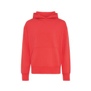 Mikina s kapucňou IQONIQ Yoho relaxed fit z recykl. bavlny - Iqoniq