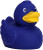 Klasická pískacia kačka - MBW, farba - blue, veľkosť - 7,5 cm