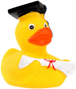 Pískacia kačka absolvent