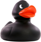 Pískacia kačka obor