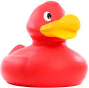 Pískacia kačka obor