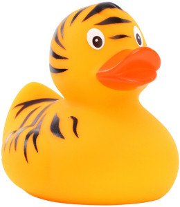 Pískacia kačka tiger