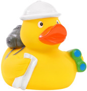 Pískacia kačka svetobežník