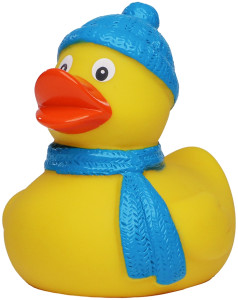 Zimná pískacia kačka
