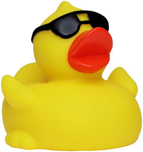 Pískacia kačka so slnečnými okuliarmi