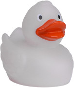 Pískacia kačka meniaca farbu