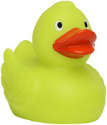 Pískacia kačka meniaca farbu