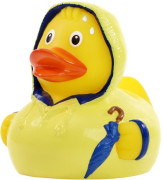 Pískacia kačka v zlom počasí