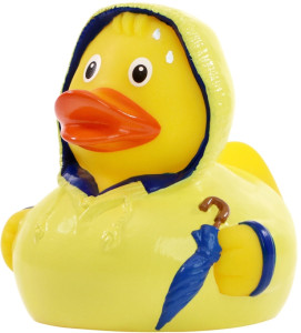 Pískacia kačka v zlom počasí