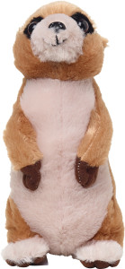 Meerkat Jürgen