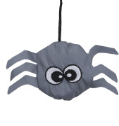 Susi Spider