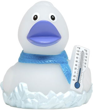 Squeaky duck frosty