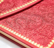 Notes MAGNETIC CORAL