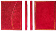 Notes MAGNETIC CORAL