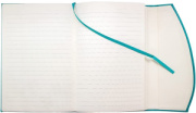 Notes MAGNETIC EMERALD