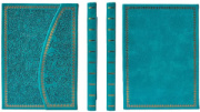 Notes MAGNETIC EMERALD