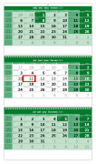 Trojmesačný kalendár zelený so špirálou