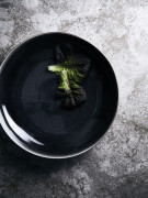 Misa 31 cm VINGA Nomimono - Vinga