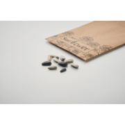 Slnečnicové semienka v obálke