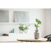 Zápisník A5 GROWBOOK™