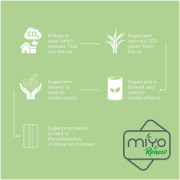 MIYO Renew jednoposchodový jedálenský box