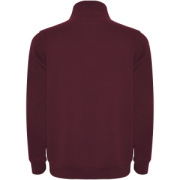 Aneto mikina so štvrťkovým zipsom - Roly