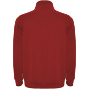 Aneto mikina so štvrťkovým zipsom - Roly