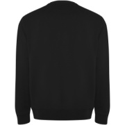 Batian unisex sveter s výstrihom crewneck