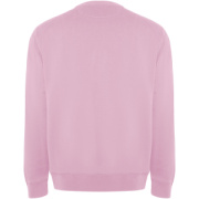 Batian unisex sveter s výstrihom crewneck - Roly