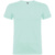 Beagle pánske tričko s krátkym rukávom - Roly, farba - mátově zelená, veľkosť - XS
