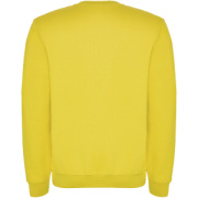 Clasica unisex sveter s výstrihom crewneck - Roly