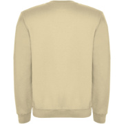 Clasica unisex sveter s výstrihom crewneck - Roly