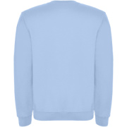 Clasica unisex sveter s výstrihom crewneck - Roly