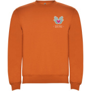 Clasica unisex sveter s výstrihom crewneck - Roly