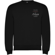 Clasica unisex sveter s výstrihom crewneck - Roly