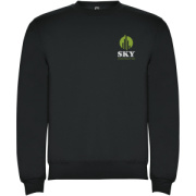 Clasica unisex sveter s výstrihom crewneck - Roly