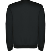 Clasica unisex sveter s výstrihom crewneck - Roly