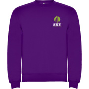 Clasica unisex sveter s výstrihom crewneck - Roly